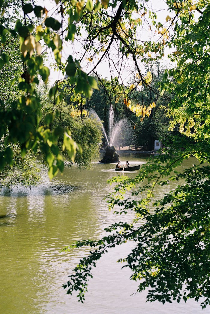 Peaceful park scene with a fountain surrounded by lush greenery and a lake.